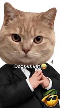 Dogs vs The Vet 😂🐶🏥 (They Know 😭)