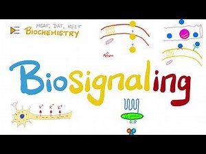 Biosignaling | G-proteins; ligand-gated; voltage-gated channels; JAK-STAT | Biochemistry Video Lecture - MCAT