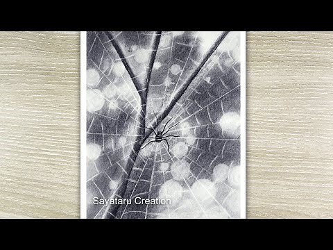 How to draw a Spider Web ‍Scenery, Realistic Pencil sketch for beginners