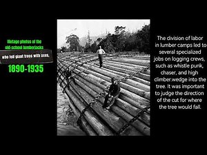1890-1935 Vintage photos of the old-school lumberjacks who fell giant trees with axes #history