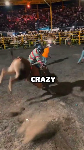 Bull Riding Is One of the Most Dangerous Jobs 😳
