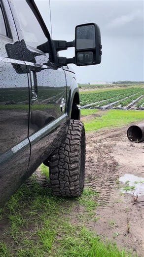 Remembering Big Brown: A Tribute to a Beloved Truck