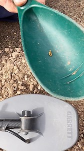 88K views · 1.9K reactions | The Axiom screams on small gold nuggets! Great live recovery and reaction of deep target. Nice piece! #garrett #garrettaxiom #GarrettFind #garrettmetaldetectors #goldnuggets #goldprospecting #metaldetecting #metaldetectingfinds | Garrett Metal Detectors | Facebook