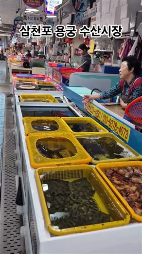 삼천포 용궁 수산시장 #산골 #약초꾼 #심마니
