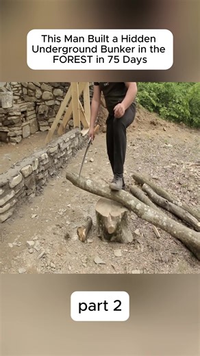 Essential Survival Skills for Outdoor Adventures