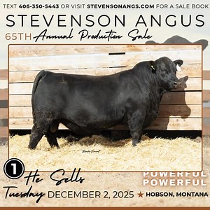 270 ANGUS BULLS SELL! Come join us ... Tuesday December 2! FREE NATIONWIDE BULL DELIVERY FEATURING: - 110 OLDER BULLS ... Age advantaged bulls and PAP tested, never picked over and developed specifically for this offering. - 25 LONG FALL YEARLINGS ... Cover more cows and cover more country ... another great option for mature bulls. - 135 COMING YEARLING BULLS ...our newest and most progressive genetics. High performance bulls from a proven, reputable cow herd. Large selection of calving ease bul