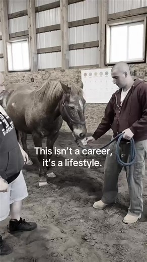 Equine Connection on Instagram: "If you’ve ever finished a certification feeling more unsure than when you started… this matters. She had already taken another equine-assisted program. On paper, she was “trained.” But when it ended, something didn’t sit right. She felt lost. Unsure of herself. Questioning whether she could actually run a program that helped people and protected the horses. That quiet doubt is more common than people admit. Because knowing activities is not the same as knowing ho