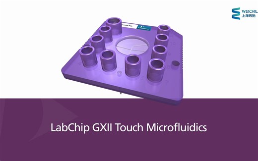 微流控毛细管电泳系统-LabChip GXII Touch HT-PerkinElmer-珀金埃尔默