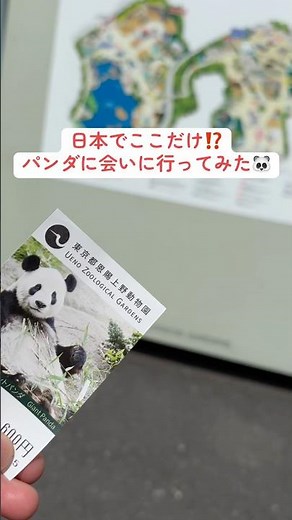 [Tokyo Sightseeing] The only place in Japan! I went to see the pandas at Ueno Zoo #shorts