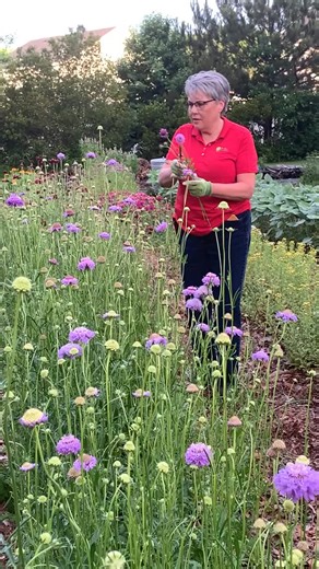 2.3K views · 122 reactions | Did you know that everything you need to...