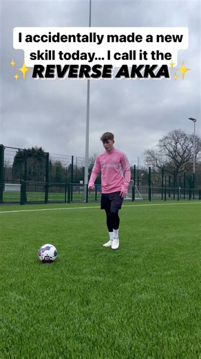 The Reverse Akka Skill Tutorial