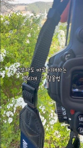 초보자도 바로 이해하는 조리개 활용법 #사진공부
