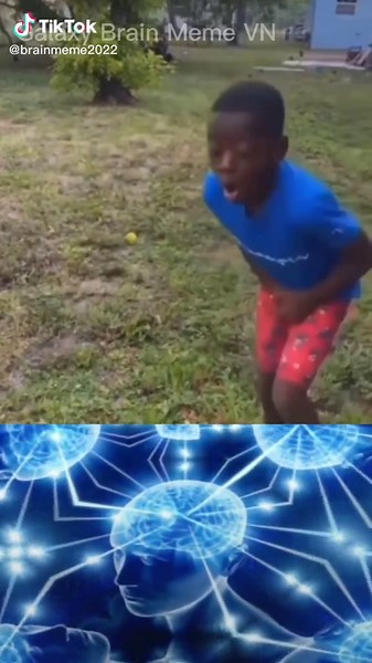 Khám Phá Các Meme Về Bộ Não