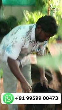 How to Change Plant Grow Bag Correctly 🌱 | Step-by-Step Guide #plantsofindia #viral #farming #fruit