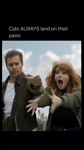 Movi Community | Movie & Memes on Instagram: "In Argylle (2024) 🎬. This moment captures the off-the-rails energy that defines Matthew Vaughn’s style, blending action, comedy and pure absurdity into one unforgettable scene. Bryce Dallas Howard’s character finds herself thrown into chaos she never expected, and Sam Rockwell’s unpredictable charm only amplifies the madness unfolding around them. The cat instantly becomes the star of the moment, adding a hilarious twist that turns high-stakes tensi