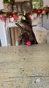 77K views · 2.4K reactions | The Shabby Tree on Reels | Facebook