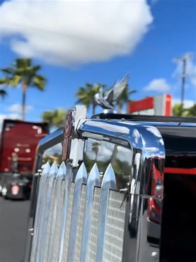 Traileros de Corazón México 🚛❤️🇲🇽 #trailerosdecorazonmexico🚛❤️🇲🇽 #trailerosdecorazonmexico🚛 #trailerosmexicanos🇲🇽💯😎 #mexicanpower🇲🇽 #trailerosMX🚛❤️🇲🇽