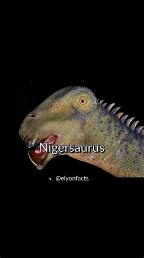 Did You Know Such A Dinosaur Existed ? 🤯 #prehistoric #dinosaur #extinctanimals #nigersaurus