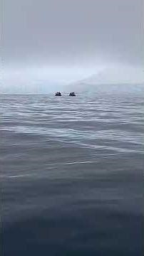 zodiac cruise at Patagonia Bay Antartica