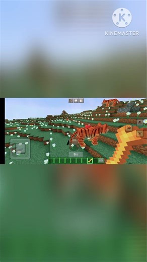 How To Tame Tiger In MINECRAFT 🐯🐯🐯🐯🐯🐯🐯 cosplayer#aestheic#cyborg #minecraft #memes