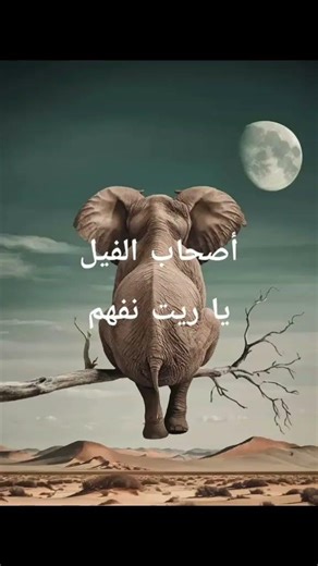#أصحاب الفيل