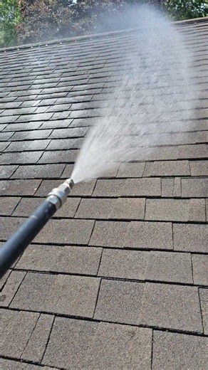 Roof Cleaning Fort Wayne IN | Soft Wash Removes Black Algae Streaks
