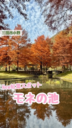 りーママ🌟三田・神戸北の情報発信 | 三田で話題の紅葉スポット🍁 池に映る紅葉がまるで絵画みたいで 本当に美しい✨ 実はこの景色 地域のボランティアの方々が “かつて美しかった池をもう一度” という想いで、 2年かけて清掃活動を 続けてくれたおかげ🥹✨ BBQもできるし 遊具や広場もあるから... | Instagram
