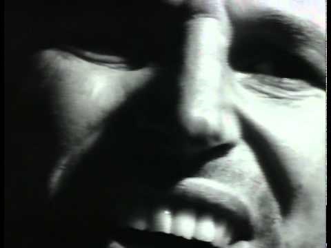 Chris Knox - Not Given Lightly