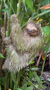 April Taylor Edwards on Reels