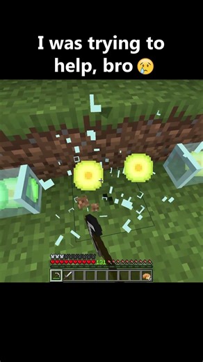 it was his internet cable