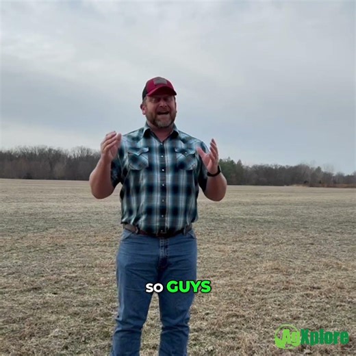 Why Split Applying Nitrogen Can Boost Corn Yield and Efficiency—And How to Time It Right