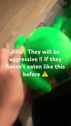 How to feed your ikea alien #3008