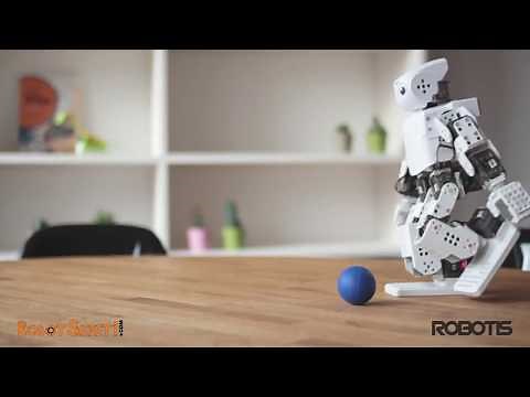 ROBOTIS Mini - İnsansı Robot