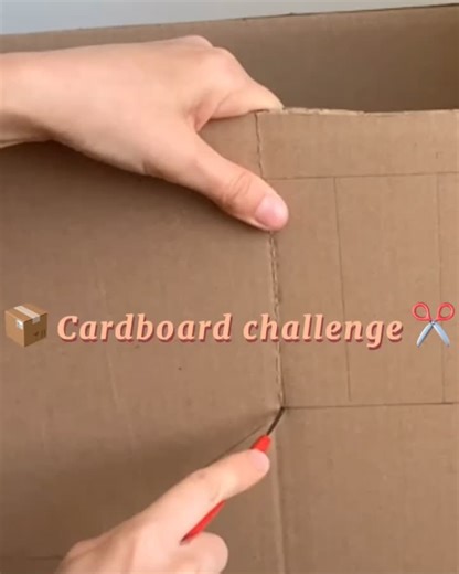 Creative Cardboard Challenge Ideas for Kids