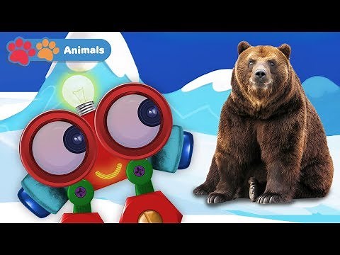 Kids Learn Animals with Robi | Educational Early Learning Videos with Polar Bear, Lion & Birds