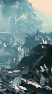 342K views · 4K reactions | Air India passenger plane crashes in western India | NHK WORLD-JAPAN | Facebook