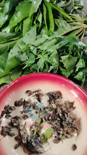 Naga style cooking insects #facebookviral #insects #facebookpost lkperry111 #PaddyFieldVibes | LK Perry