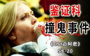 少年含冤往死，心有不甘，化作鬼魂协助警方破案《CSI迈阿密》S8-20