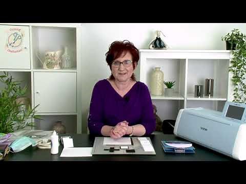 Kinetic Cards & Cute Critters | Introduction