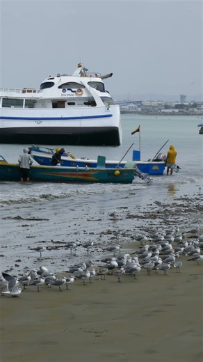 🇪🇨 Manta – Exploring Ecuador’s Pacific Coast