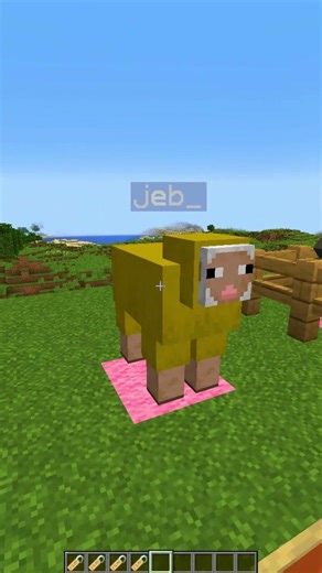 Minecraft Hidden Nametags! 🤫 (World's Smallest Violin) #minecraft #shorts