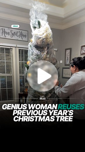 That is such a great Christmas tree hack 👏 | Daily Mail Video