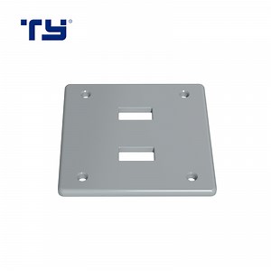 [Hot Item] PVC Plastic Single Gang Plate for Insulating Electrical Conduit System Cover Plate (SGP-II)