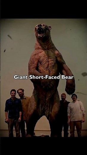 The FORGOTTEN Predators From Each Country 😳 #prehistoricanimals