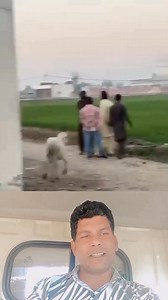 #beta #art #sale #content #a #k | Beta Baap | Facebook