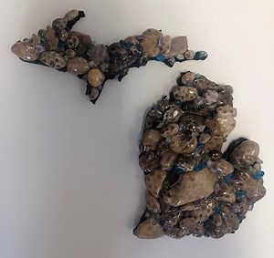 Petoskey Stone and Other Fossils State of Michigan - Etsy