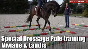 12K views · 298 reactions | Pole Training for Dressage Horses | Horsephysio | Facebook