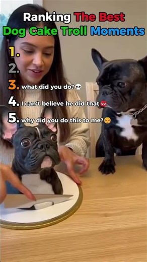 Pranking dogs gone wrong