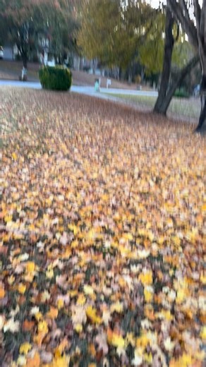 Fall in all her splendor | Carline Blanchard