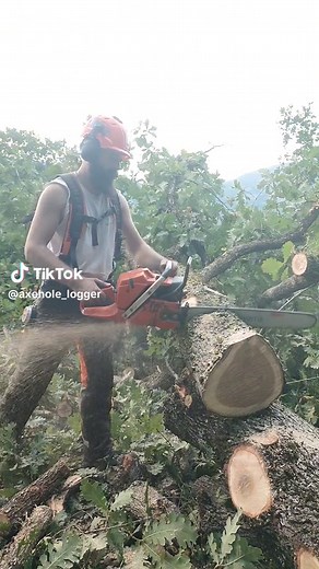 Husqvarna 372XP Chainsaw: Cutting through Logs with Precision